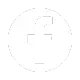icone facebook